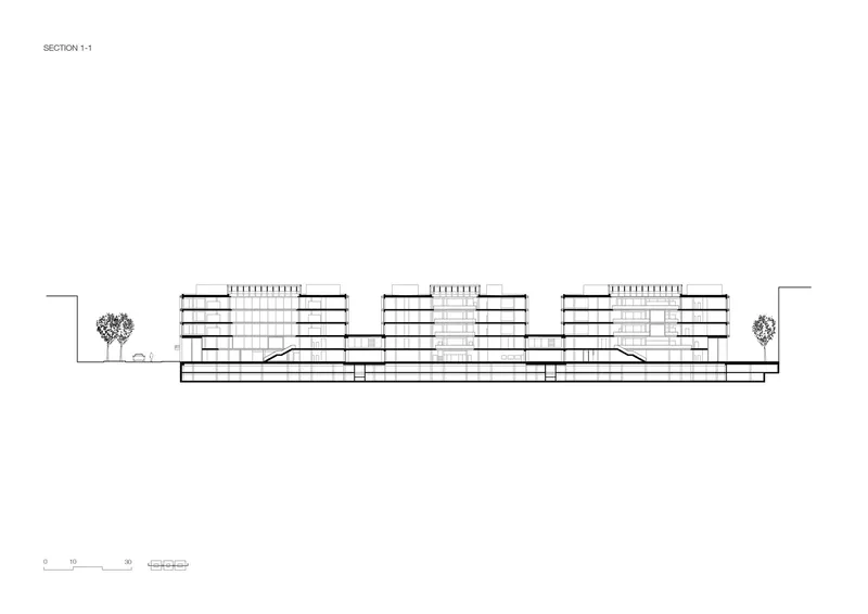 Section drawing showing three mid-rise buildings connected by a lower plinth with trees at grade