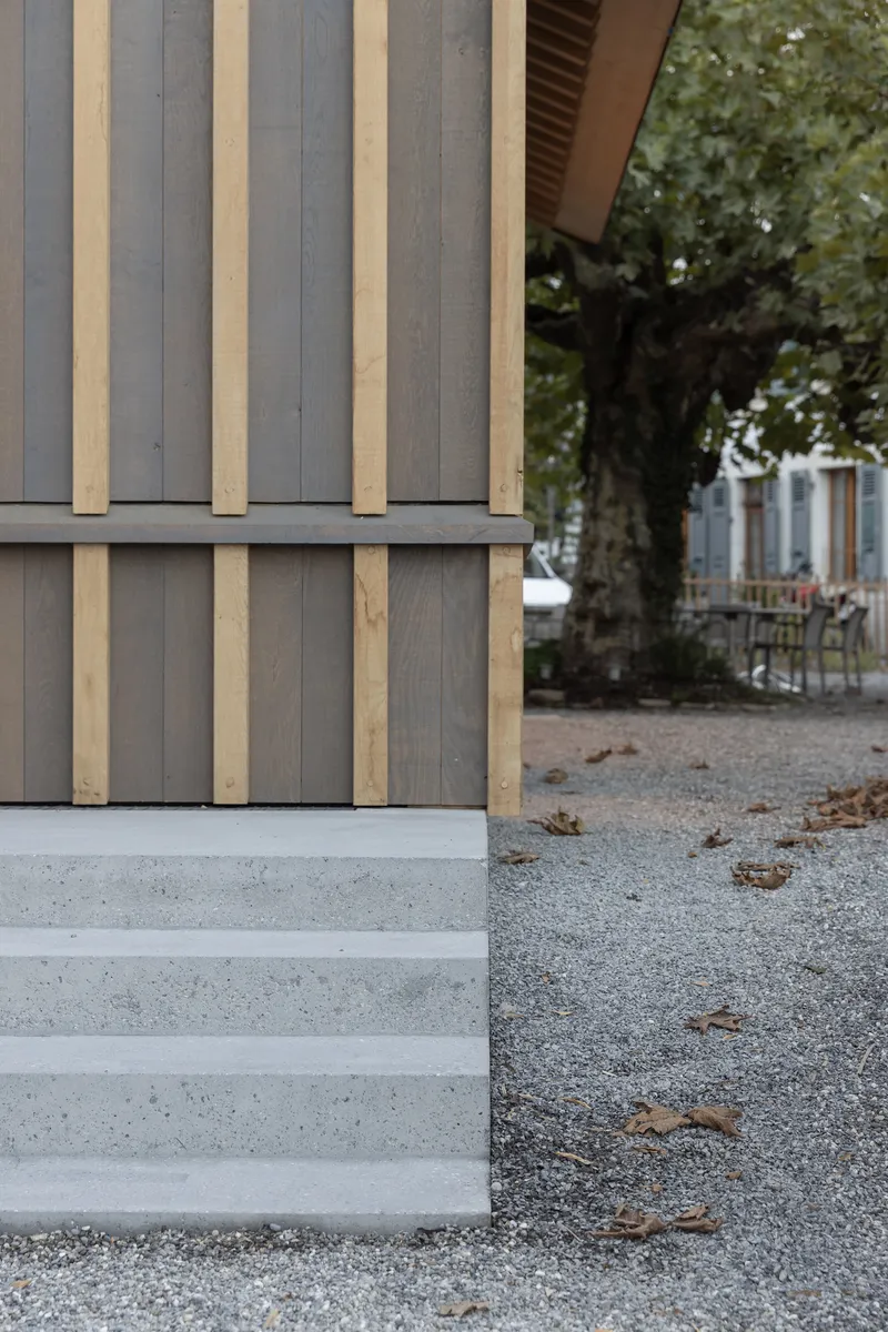 Detail of alternating grey and light timber vertical slats meeting concrete steps with fallen leaves