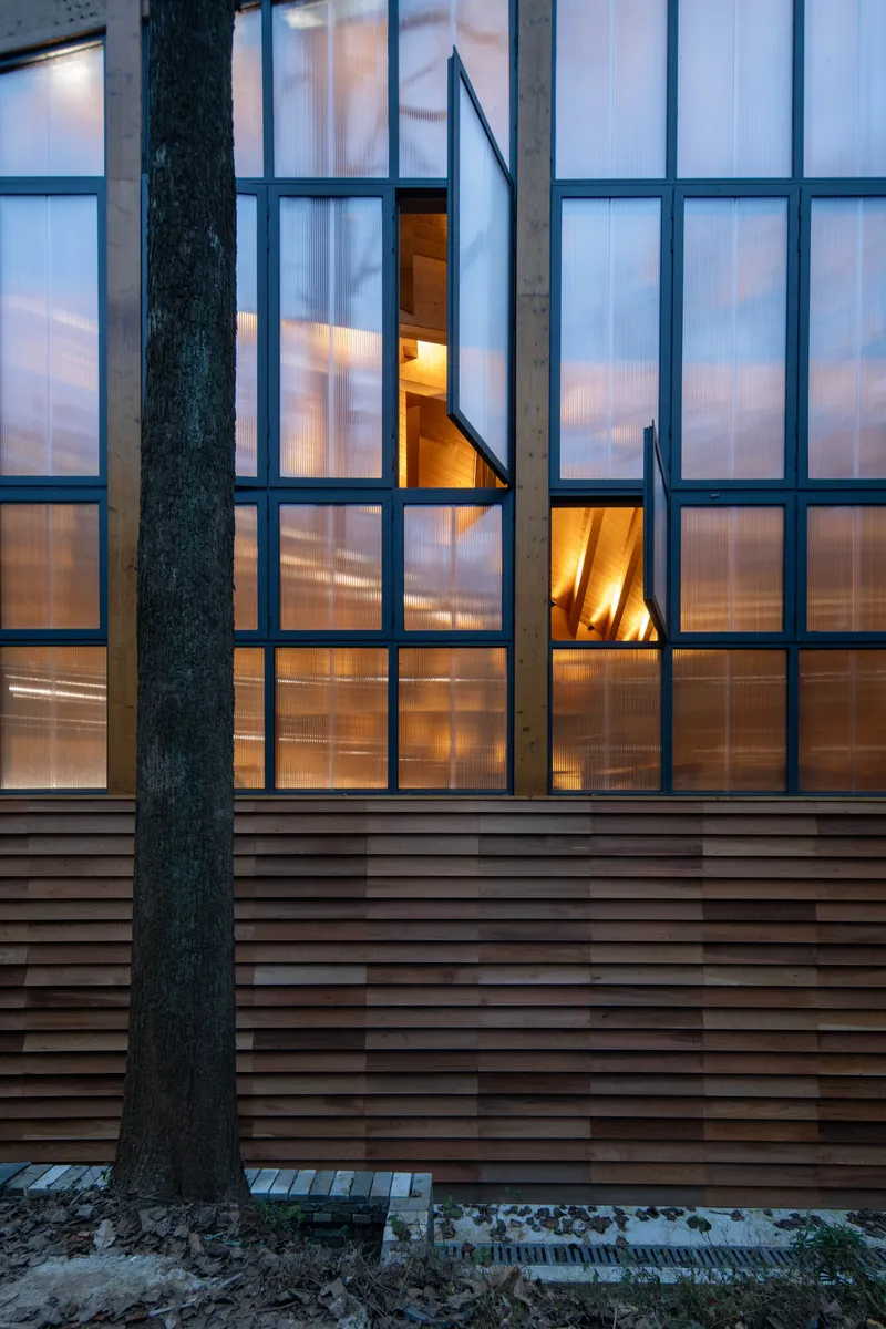 Glass curtain wall with dark metal framing beside a tree trunk at twilight