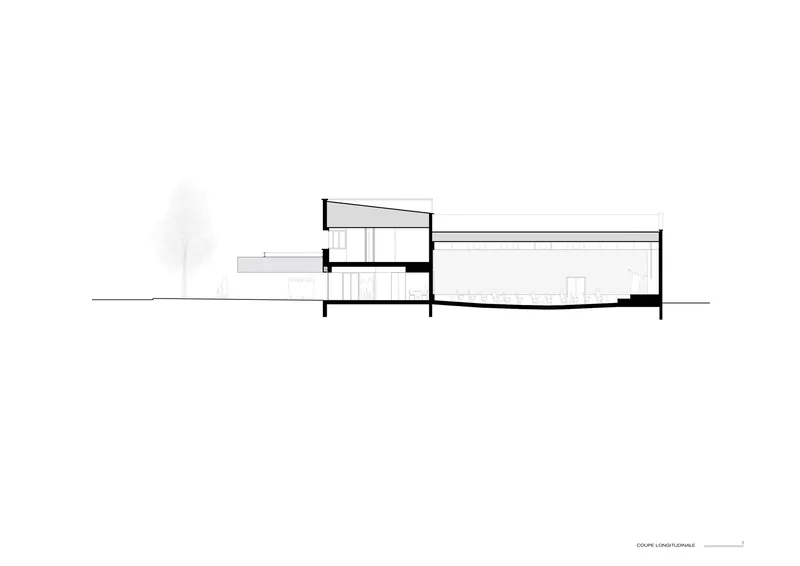 Longitudinal section drawing showing a split-level interior with stairs and a tree to the left