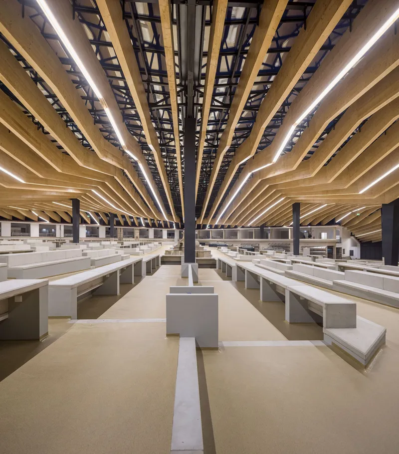 Symmetrical view down vendor hall with radiating timber beams and integrated linear lighting above stepped display platforms
