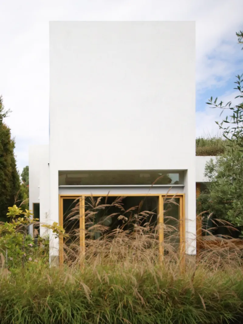White stucco facade with horizontal timber-framed window viewed through tall grasses in foreground