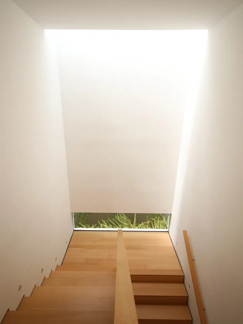 Top-down view of timber staircase beneath a skylight with garden glimpsed through window