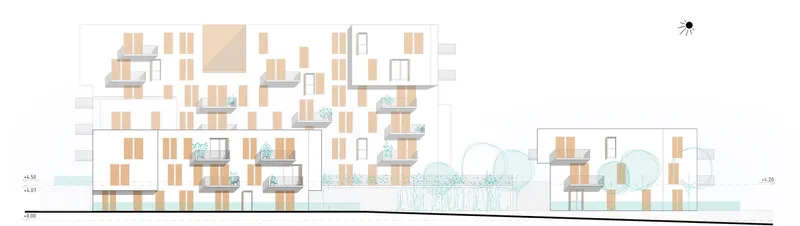 Section drawing showing the staggered balconies with timber screening across the multistorey residential blocks