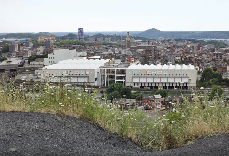 Distant view of the undulating white roofline rising above the urban fabric with wildflowers in foreground