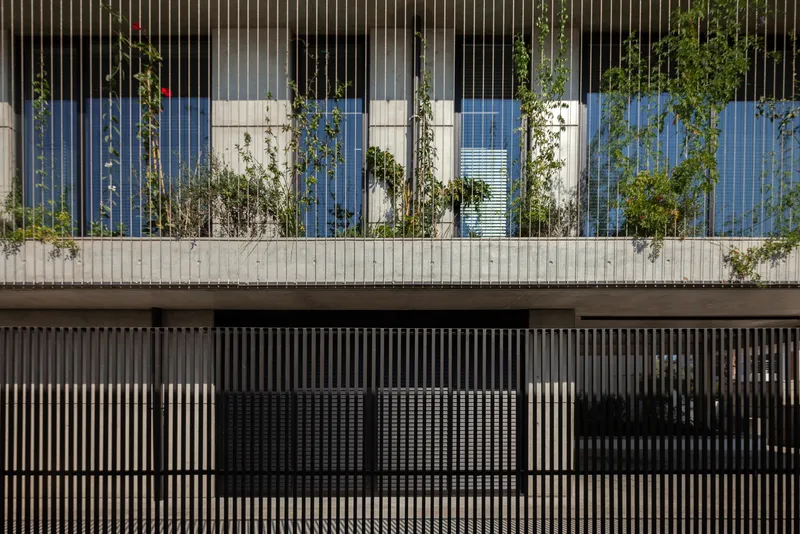 Concrete balcony with vertical screen and planted beds with climbing vines and young trees