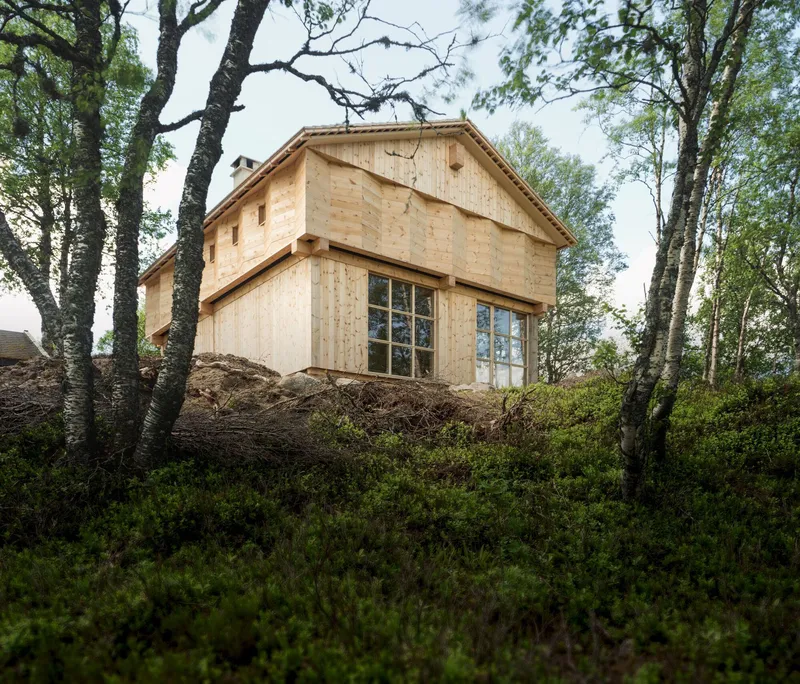 Light timber cabin with gabled roof and large windows set among birch trees on a mossy hillside