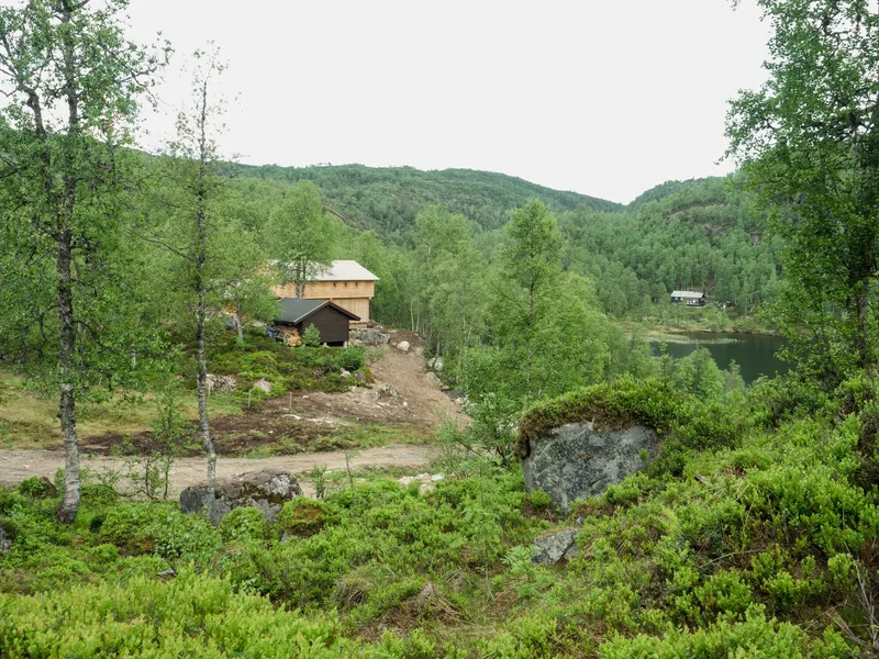 Timber cabin on lakefront site with forested hillside and birch trees in summer