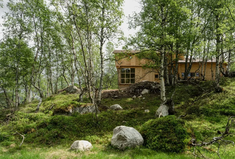Timber-clad volume nestled into a mossy hillside among birch trees and scattered boulders