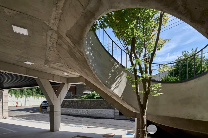Concrete staircase rising through a void with a tree casting dappled shadows on the wall