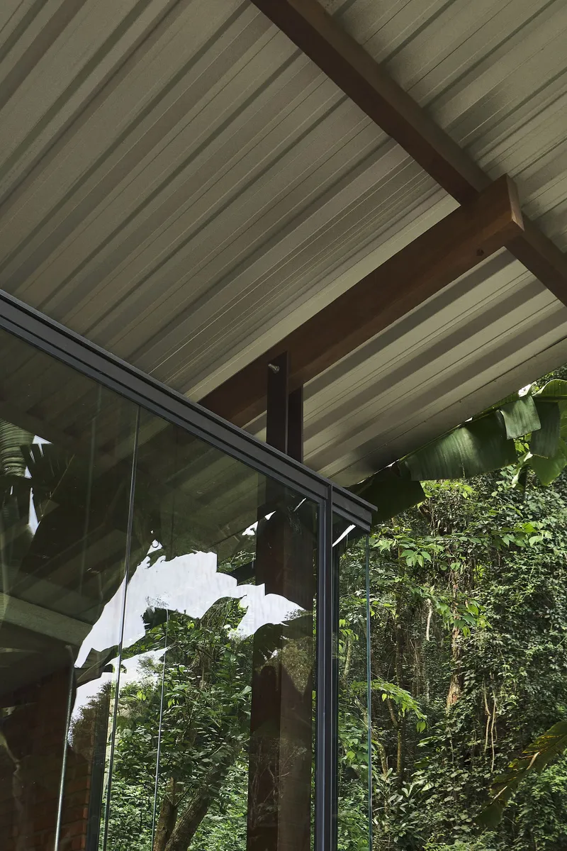 Interior view of the slatted wood ceiling with exposed timber beams beside floor-to-ceiling glazing and tropical vegetation