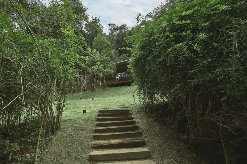 Exterior staircase with timber and gravel treads climbing a grass-covered slope through dense jungle growth