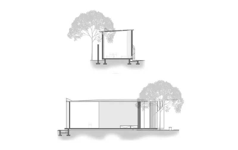 Section drawings showing interior volumes with adjacent trees and column supports