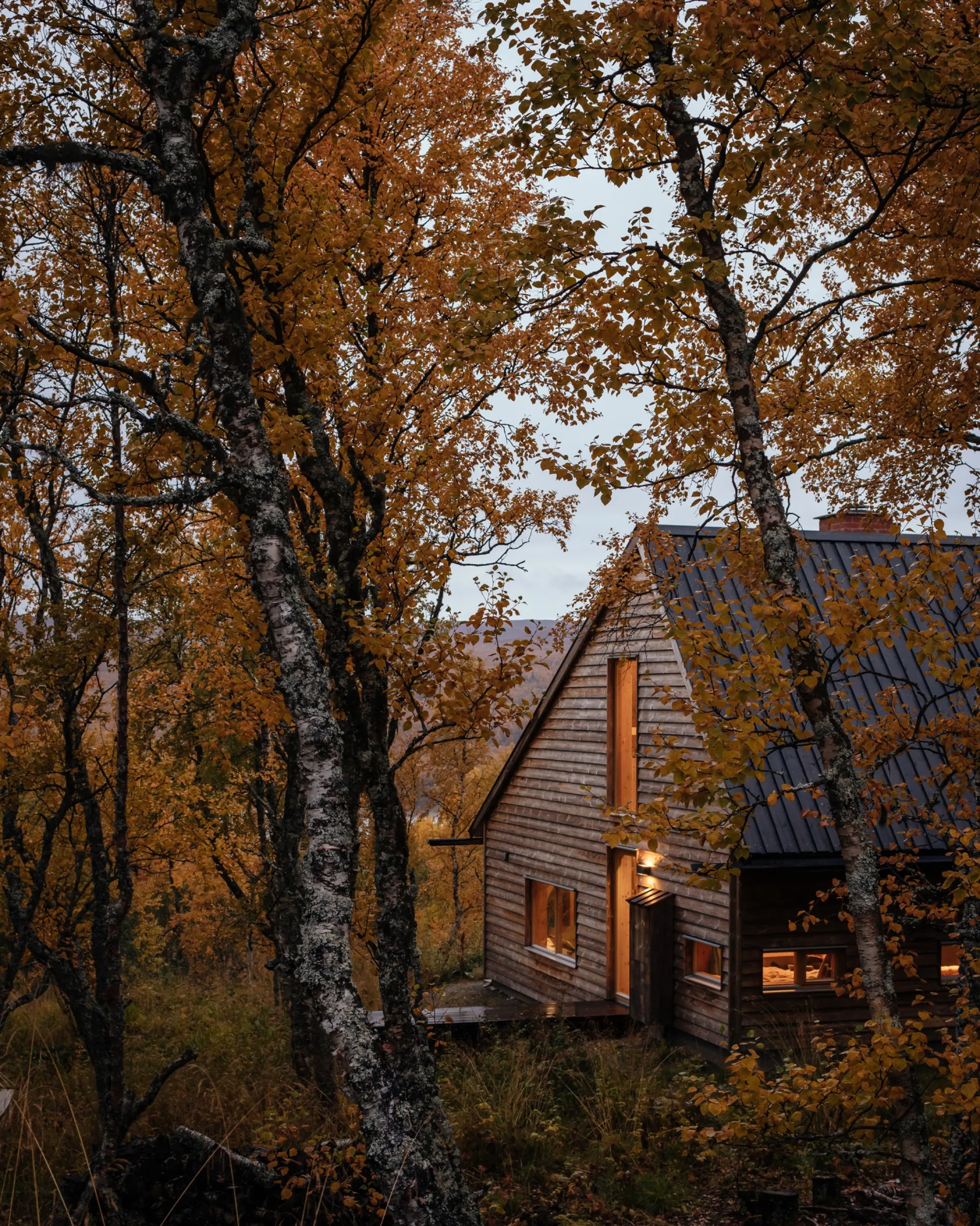 Tina Bergman Tucks a Timber Cabin Shaped Like a Fairytale Hat into a Swedish Birch Forest