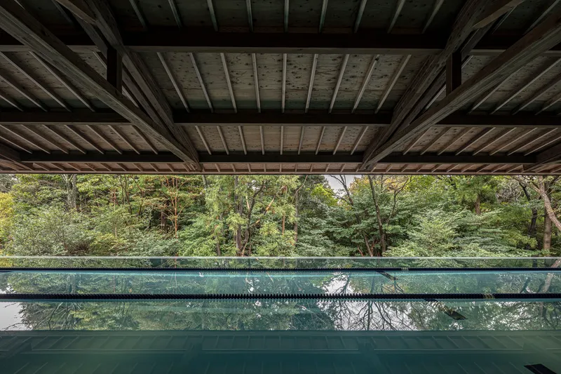 View across the lap pool toward the forest through the open timber pavilion structure
