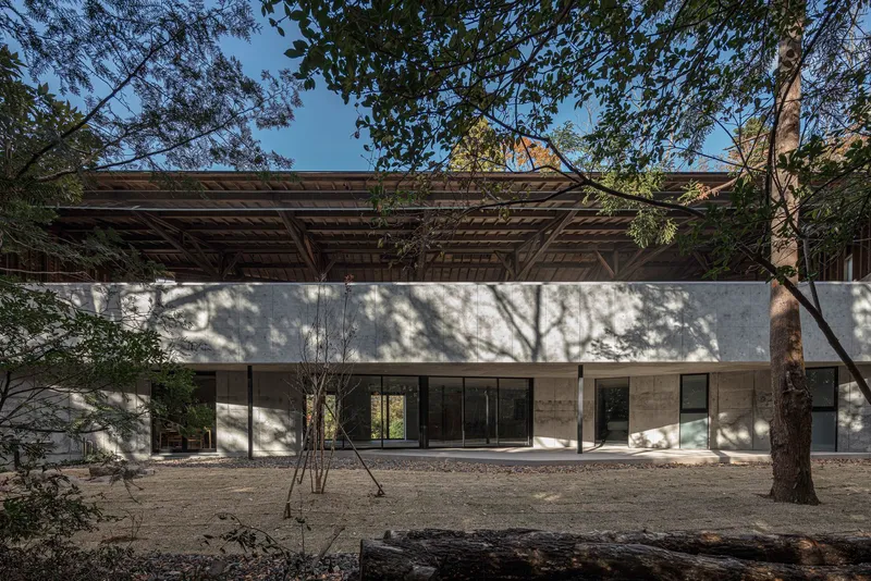 Concrete facade with glazed openings below a timber roof structure framed by tree shadows