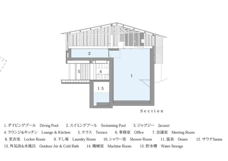 Section drawing illustrating multilevel interior with swimming pool, terrace, and slatted timber roof structure above