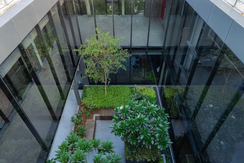 Aerial view of a glazed courtyard with planted beds, a single tree and surrounding glass corridors