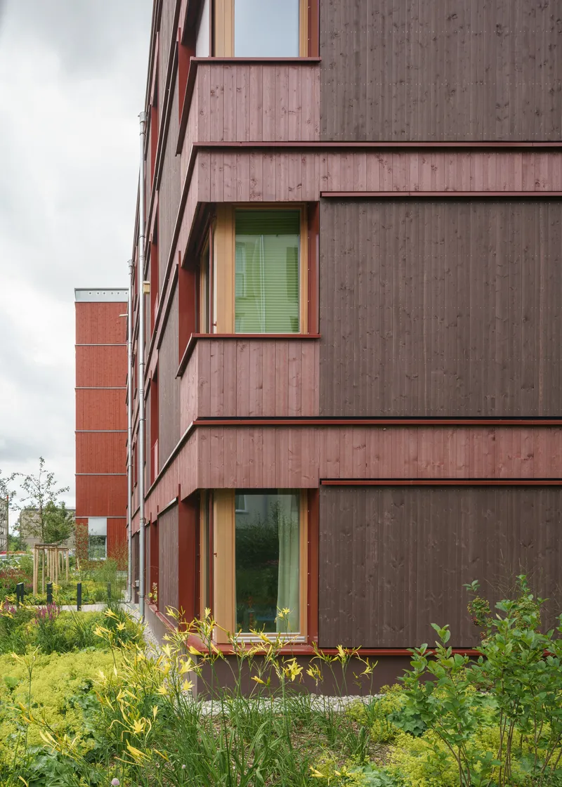 Timber clad facade with stacked windows and planted wildflower beds in summer