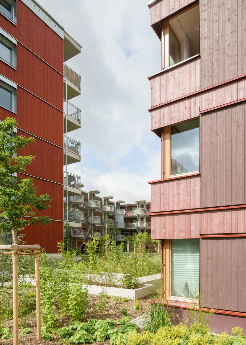 Courtyard view between timber clad buildings with wildflower plantings and young trees