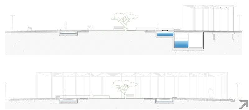 Section drawings depicting the building's relationship to grade with a central pool and planted tree