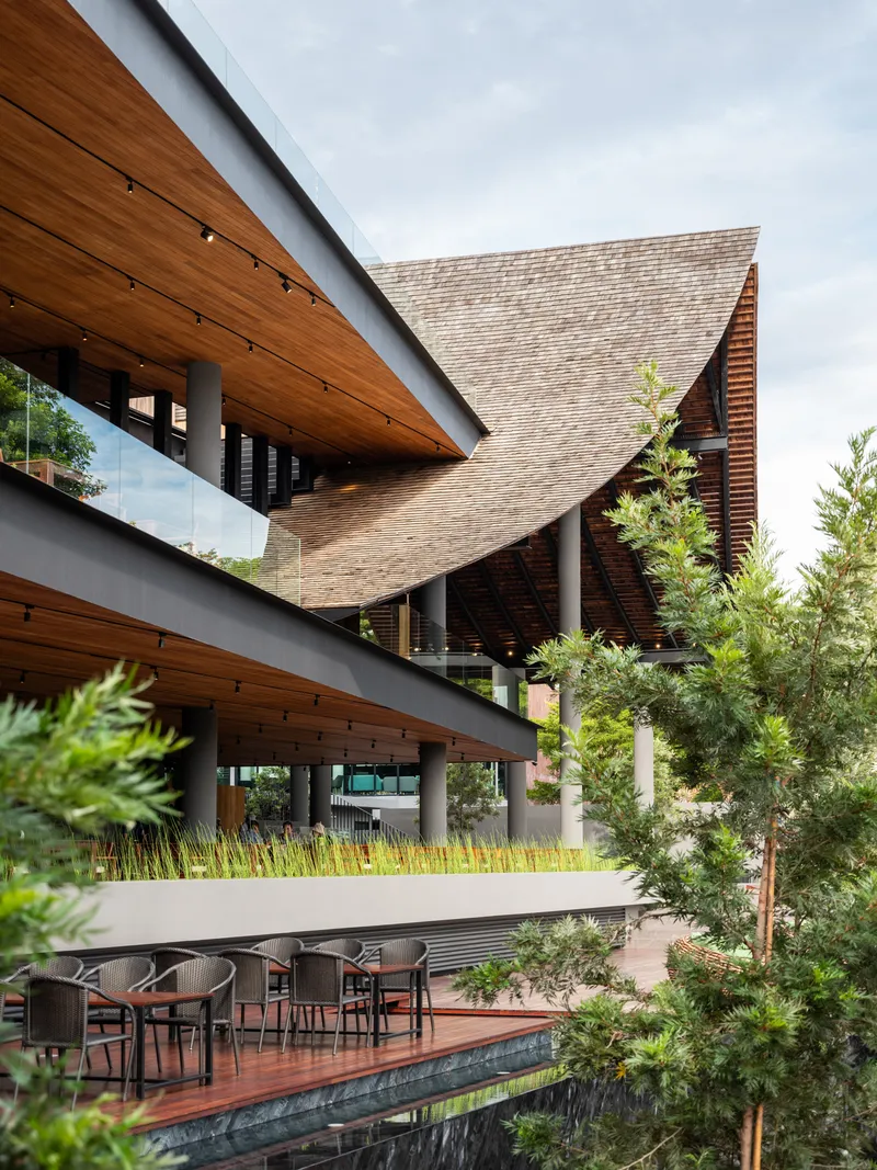 Elevated timber deck with dining furniture beneath sweeping shingled roofs and planted beds with young trees