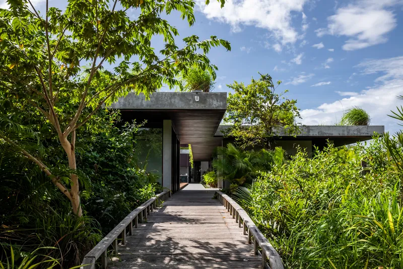 Timber boardwalk leading through dense planting to a dark concrete entrance canopy under blue sky