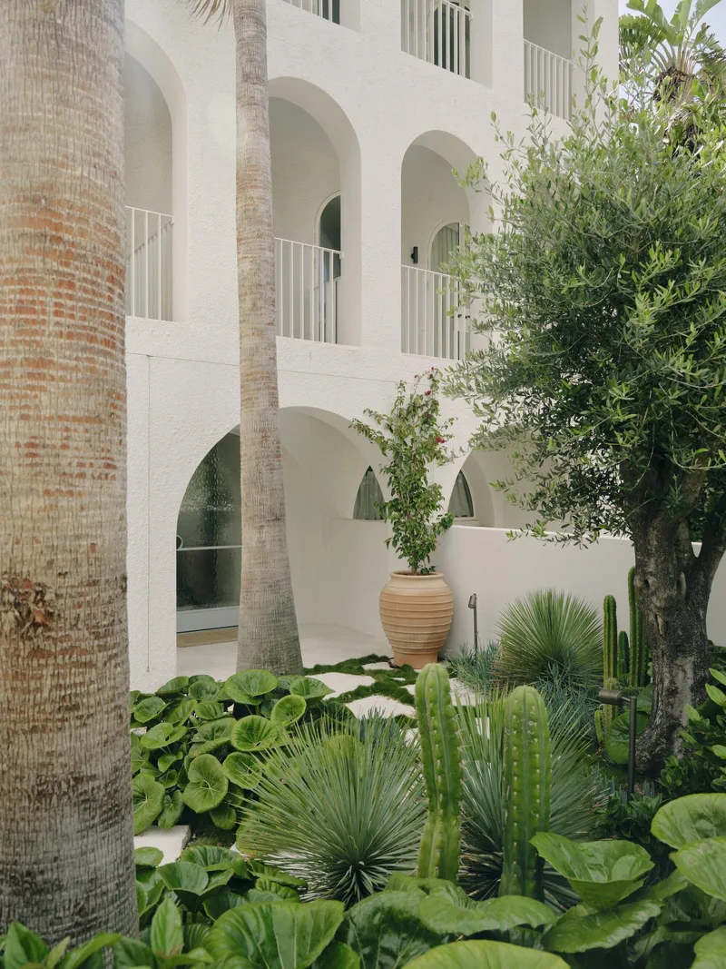 Garden courtyard with palm trunks, cacti, and planted beds against the arched arcade facade