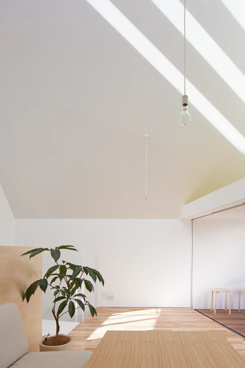Vaulted white ceiling with pendant bulb and diagonal bands of sunlight above a potted plant