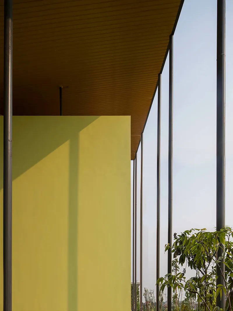 Yellow stucco wall under a deep overhanging soffit with warm wood ceiling panels and young trees