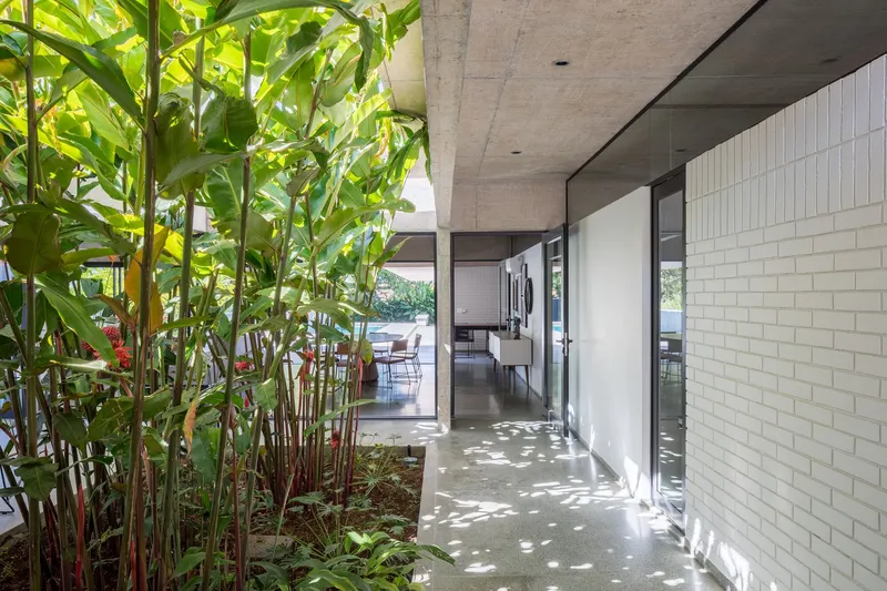 Shaded corridor with dappled sunlight filtering through dense plantings of heliconias and tropical greenery