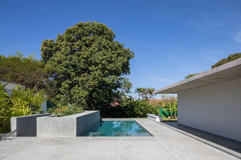 Terrace with rectangular swimming pool, concrete retaining walls and mature tree canopy under clear sky