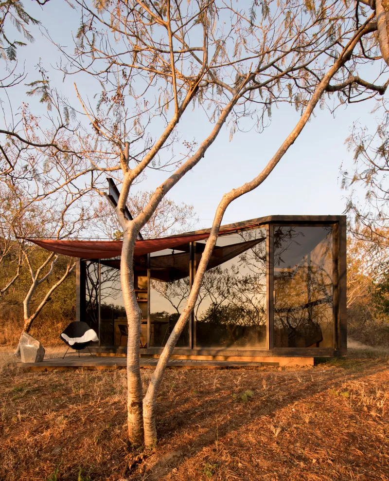 Glass pavilion with overhanging roof and timber deck framed by bare trees in golden hour light