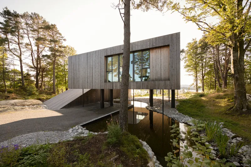 Reflecting pond beneath the raised volume with a preserved pine trunk passing through the structure
