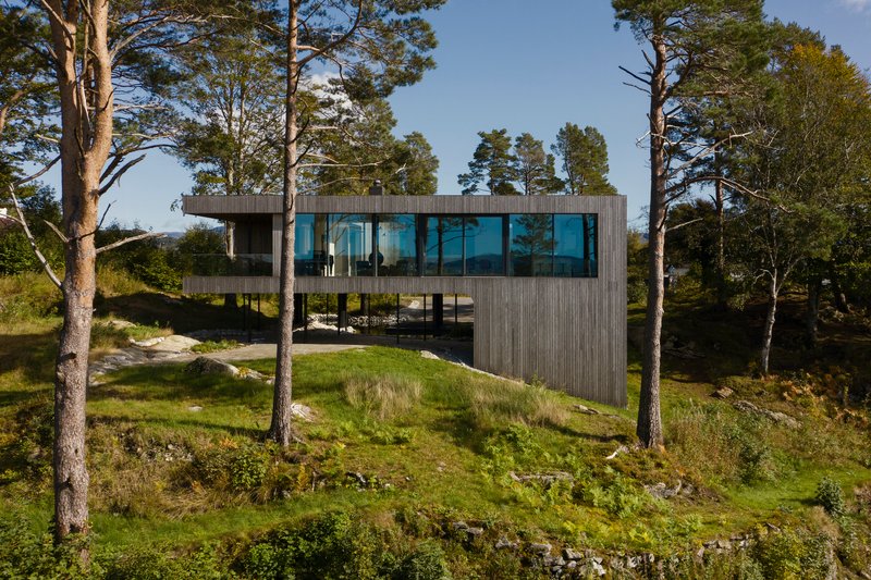 Elevated timber house with continuous glazed band framed by pine and birch trees on rocky terrain