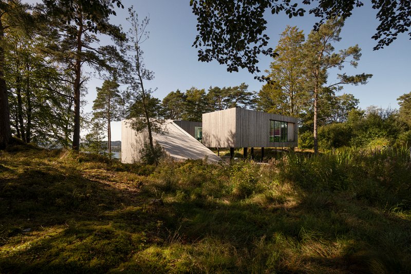 Elevated timber-clad volumes on steel columns nestled among pine trees on a mossy hillside