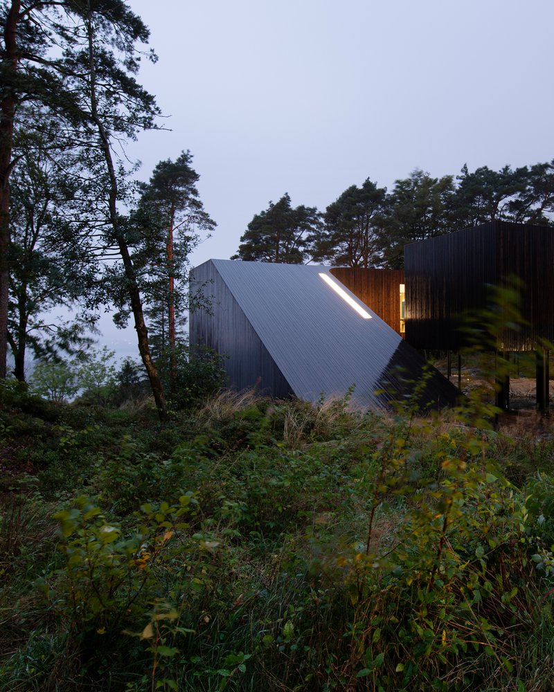 Angled timber-clad roof rising from the forest floor with warm interior light at twilight