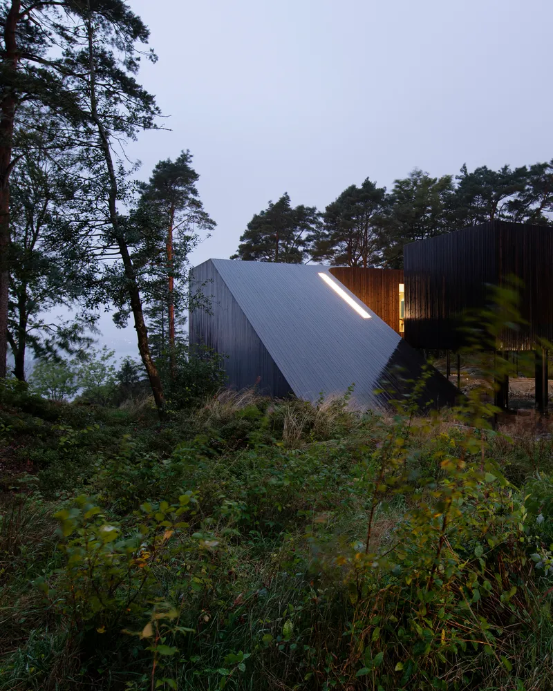 Angled timber-clad roof rising from the forest floor with warm interior light at twilight