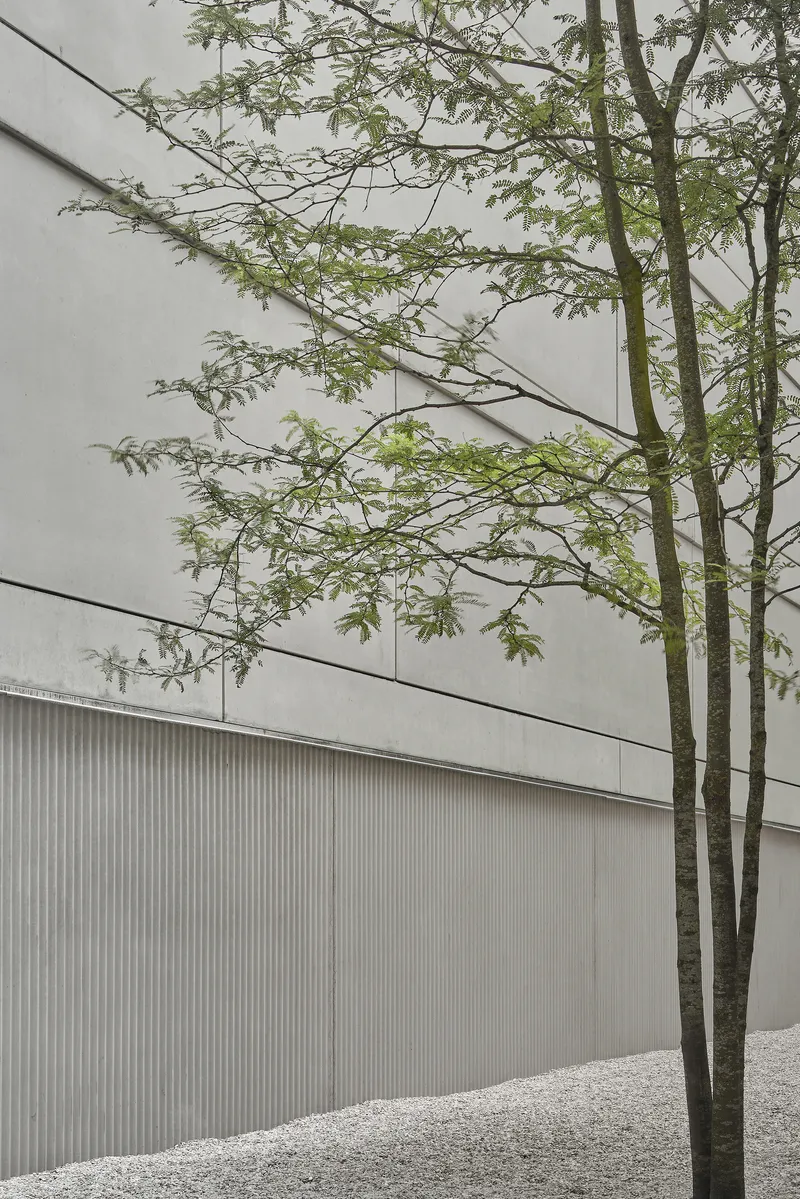 Tree with sparse spring foliage against white facade with vertical ribbed metal cladding