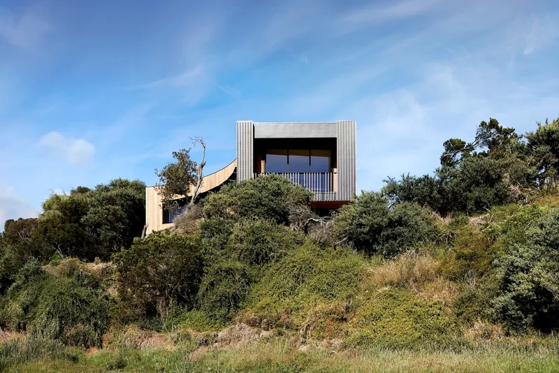Upper timber volume with vertical cladding rising above dense coastal scrub and trees