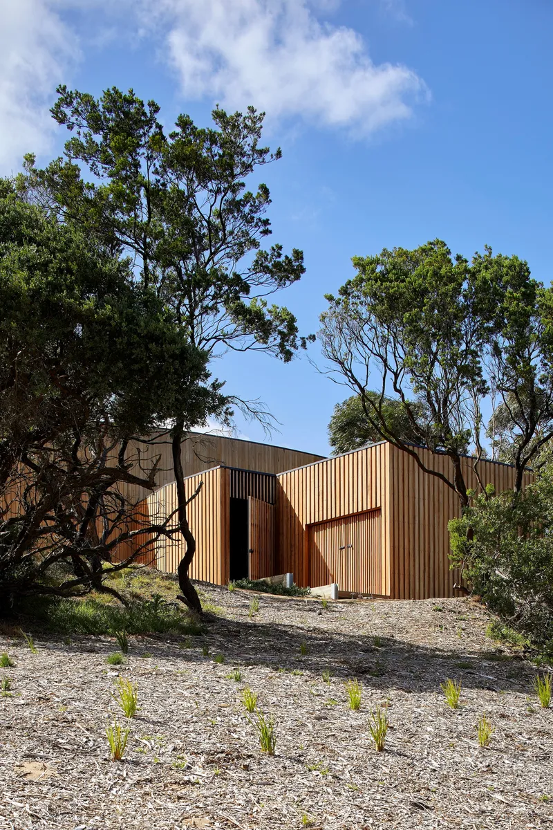 Vertical timber-clad forms rising from a gravel slope among mature trees