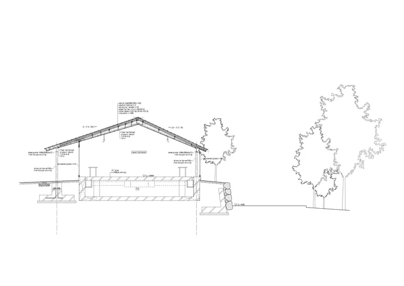 Section drawing depicting sloped roof volume with adjacent landscaped trees in outline form