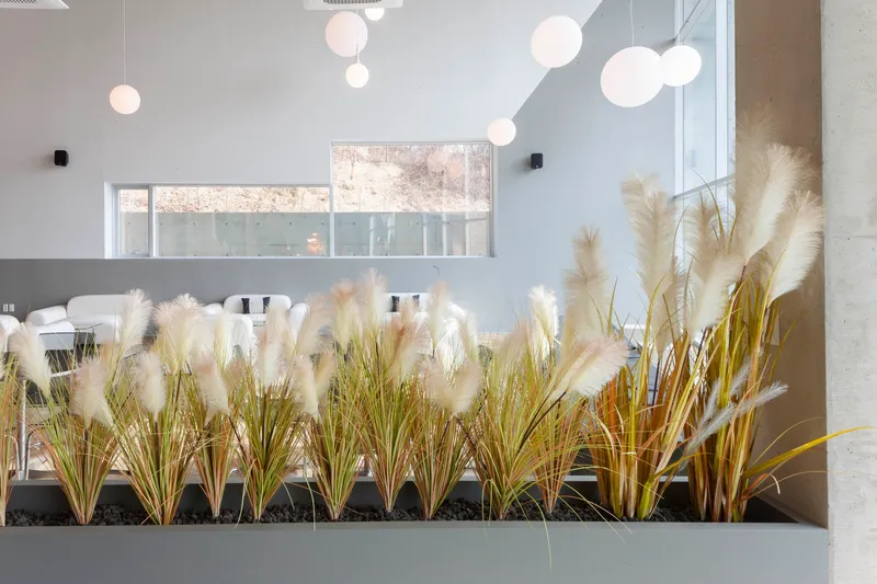 Interior planter filled with pampas grass beneath clustered globe pendant lights and a clerestory window