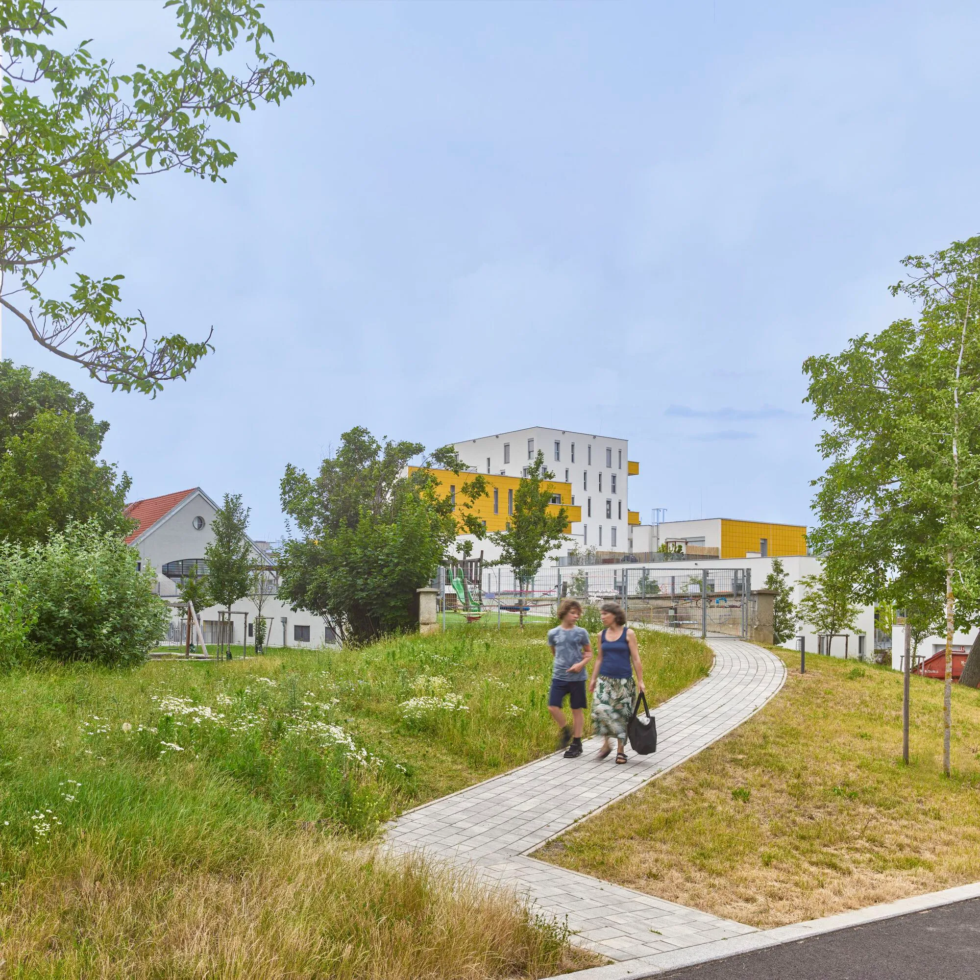 Arenas Basabe Palacios and Buschina + Partner Turn a Vienna Hillside into 82 Sun-Chasing Homes