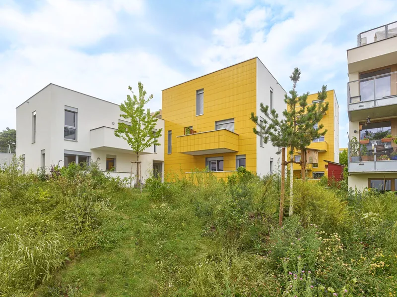Row of townhouses and apartment blocks with yellow cladding and young trees in summer meadow