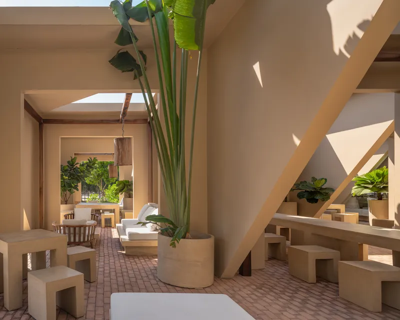 Interior terrace with angled timber beams, skylights, and a tall potted palm in afternoon sun