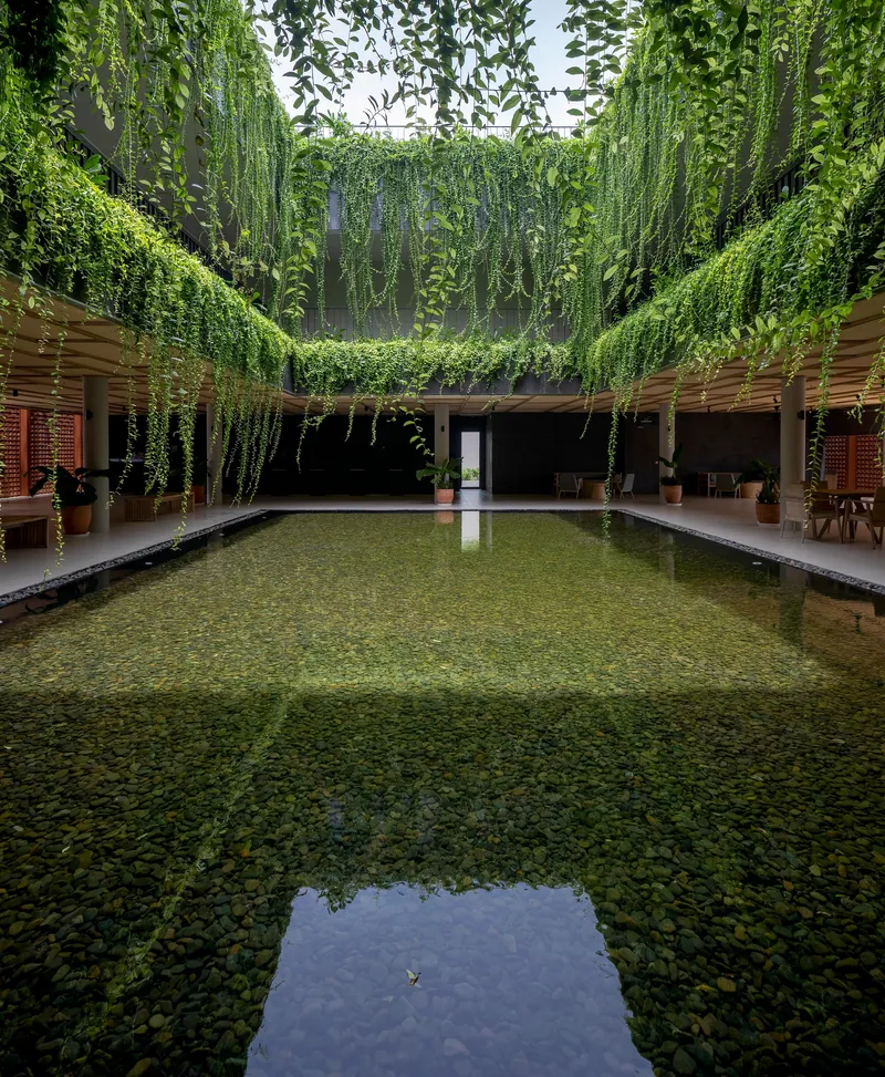 Central courtyard with reflecting pool framed by trailing vines suspended from a perimeter trellis