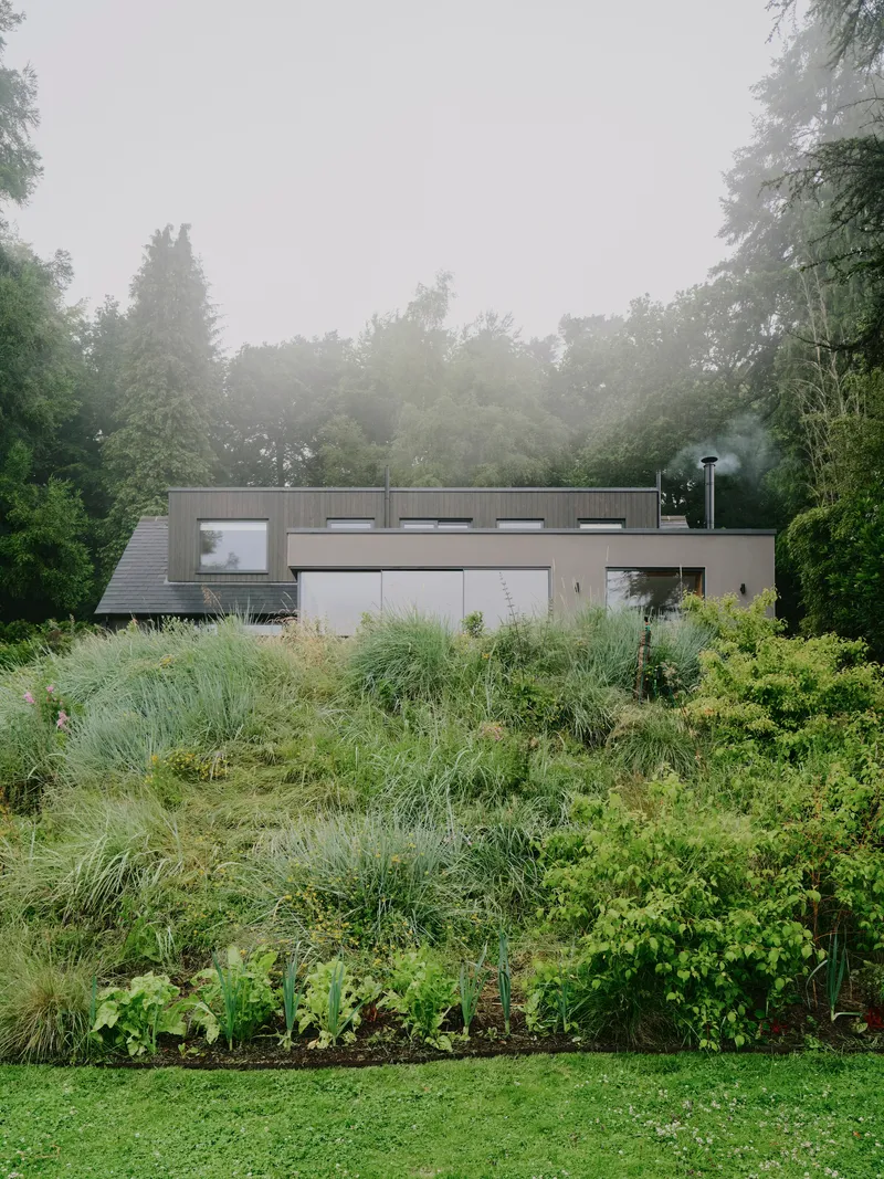 Rear elevation with corrugated metal cladding and clerestory windows framed by planted grasses and fog