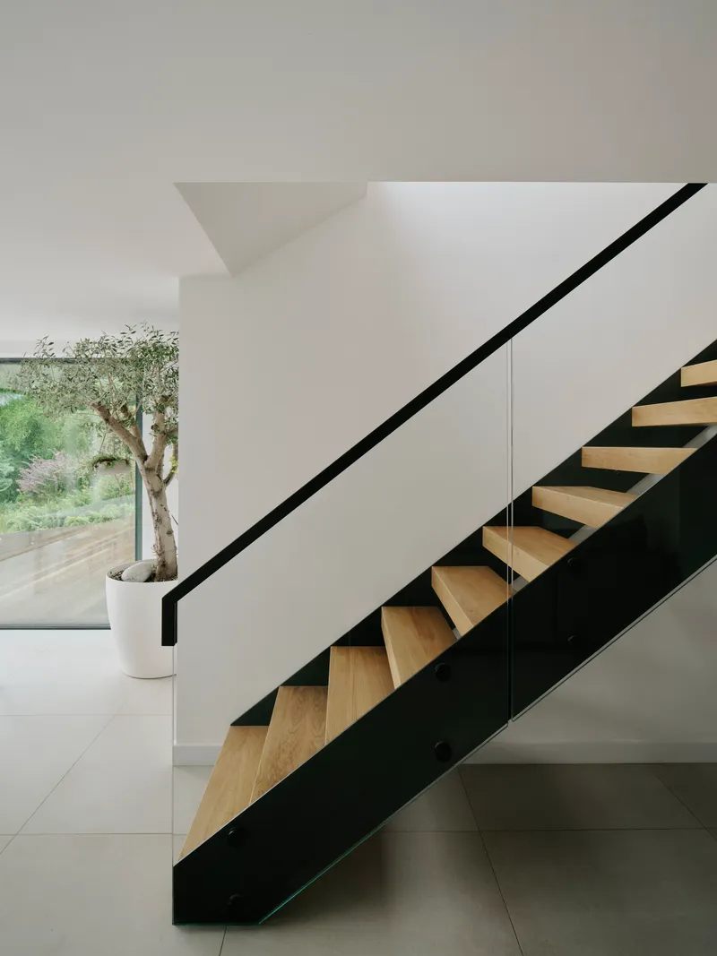 Timber and steel staircase with glass balustrade ascending in a white-walled interior with planted olive tree