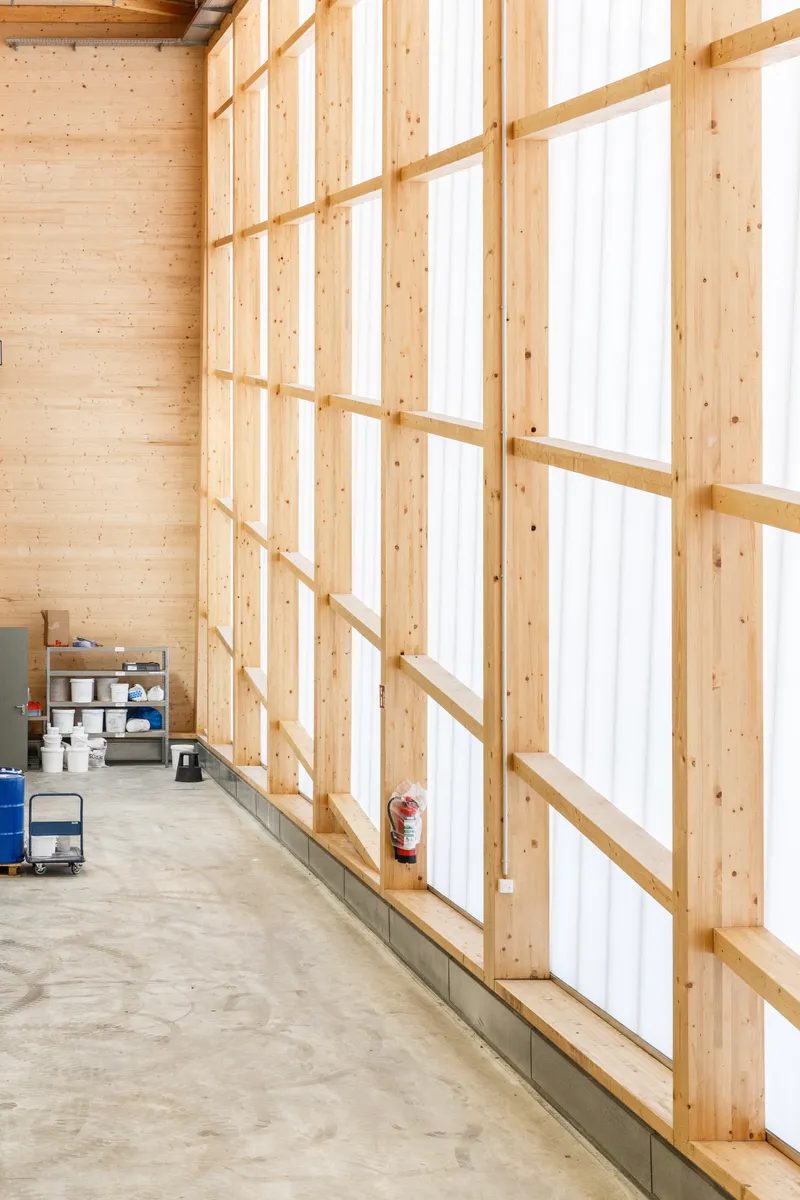 Tall translucent panel wall with timber framing and exposed cross-laminated timber interior surfaces